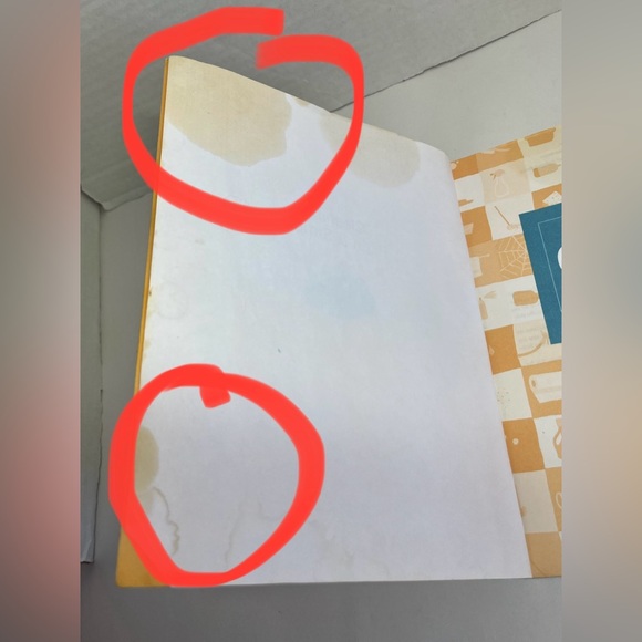 VINTAGE - CLEANING PLAIN & SIMPLE BOOK (DONNA SMALLIN) (2006) - Picture 4 of 4